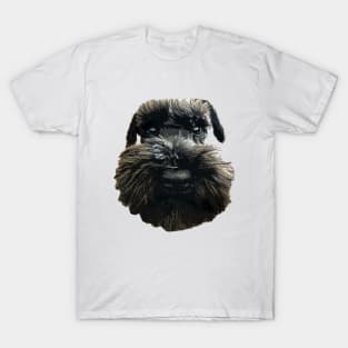 Schnauzer Cute Dog with Beard T-Shirt